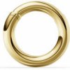 DF Piercingový prsteň 6110 zo žltého zlata