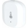 Nous E4 ZigBee Tuya