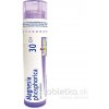 Magnesia Phosphorica gra.1 x 4 g 30CH