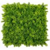 Moss coral, dielec 50 x 50 cm (Realistická imitácia machu - vyššia hustota)