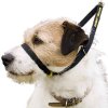 Canny Collar výcvikový obojok, čierny, veľkosť 1 (23 - 28 cm)