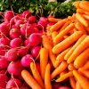 Semená mrkvy a reďkovky - výsevný pásik - 5 m