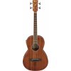 Ibanez PNB14E-OPN