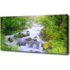 Foto obraz na plátne Horská rieka 100x50 cm