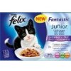 Felix junior kura,losos 4x100g
