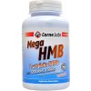 Carne Labs Mega HMB + L-Arginin 1000 mg 120 tablet