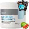 OSTROVIT Creatine 300 g