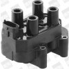 BorgWarner (BERU) Zapalovací cívka ZS450