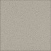 EBS Gres 30 x 30 cm svetlosivá 1,4m²