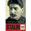 Stalin (Stephen Kotkin)(Brožovaná)