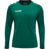 Hummel Dres dlhým rukávom Core Kids GK SET 205281 6140