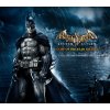Batman: Arkham Asylum GOTY Edition Steam Gift