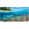 Fotoobraz na skle koralový útes 100x50 cm