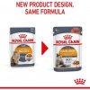 12 x Royal Canin kapsička Hair & Skin Care in Gravy 85 g