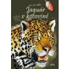 Jaguár v kocovině - Jan Dungel