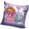 Carbotex Tlapková patrola Paw Patrol Skye a Everest 40 x 40 cm