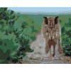 ZUTY Maľovanie podľa čísel - BEŽIACI ZAJAC Rámovanie: vypnuté plátno na rám, Rozmer: 40x50 cm