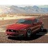 Zuty Maľovanie podľa čísel Mustang