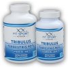 FitSport Nutrition Tribulus Terrestris 90% + Vitamín B6 + Zinok 240 kapsúl + 100 kapsúl