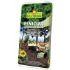 Agro FLORIA Piniová dekorační kôra 45 l
