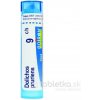Dolichos Pruriens gra.1 x 4 g 9CH