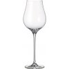 Bohemia Crystal Poháre na biele víno Limosa 280ml (set po 6ks)