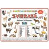 Súbor 24 kariet - zvieratá (domáce a hospodárske)