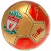 Fan-shop Mini Lopta LIVERPOOL FC 26 Panel Signature
