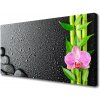 Obraz Canvas Bambus stonka kvet rastlina 100x50 cm