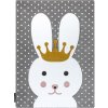Dywany Łuszczów Petit Bunny grey Šedá