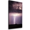 Vertikálny foto obraz na plátne Búrka s bleskami 50x100 cm