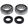 All Balls Racing Ložiská tesnenie kľukovky sada All Balls Racing CB24-1120