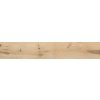 Dlažba Emil 20Twenty industrial 20x120 cm mat 542W1R 0.960 m2
