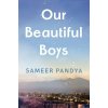 Our Beautiful Boys - Sameer Pandya