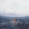 Wonder - Shawn Mendes LP