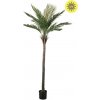 Umelá Palma Phoenix vonkajšie, 210cm