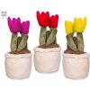 Take Me Home tulipány plyšové 25 cm - mix farieb (ružová, žltá, červená)