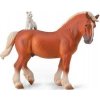 Draft Horse with cat