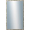 DANTIK - Zrkadlo v rámu, rozmer s rámom 60x100 cm z lišty TRITON strieborná (2143)