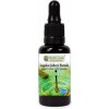 Lugolov jódový roztok 30ml