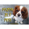 Pozorpes.sk, výstražná tabuľka (Cavalier king charles spaniel)