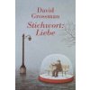Stichwort: Liebe (David Grossman,Judith Brüll)(Pevná)
