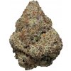 Highbreed Seeds - Super Saiyan Runtz Auto 7 ks - Semená bez THC
