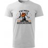 Im not lost - geocaching - Klasické pánske tričko vyššej gramáže - XL ( Svetlosivý melír )