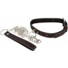 Bad Kitty Collar and Leash