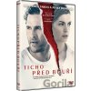 FILM SERENITY: TICHO PRED BÚRKOU DVD