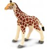 Safari® Mláďa žirafy