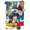Viz Media Dragon Ball Super 22