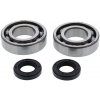 All Balls Racing Ložiská tesnenie kľukovky sada All Balls Racing CB24-1121