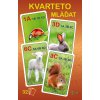 Kvarteto mláďatá